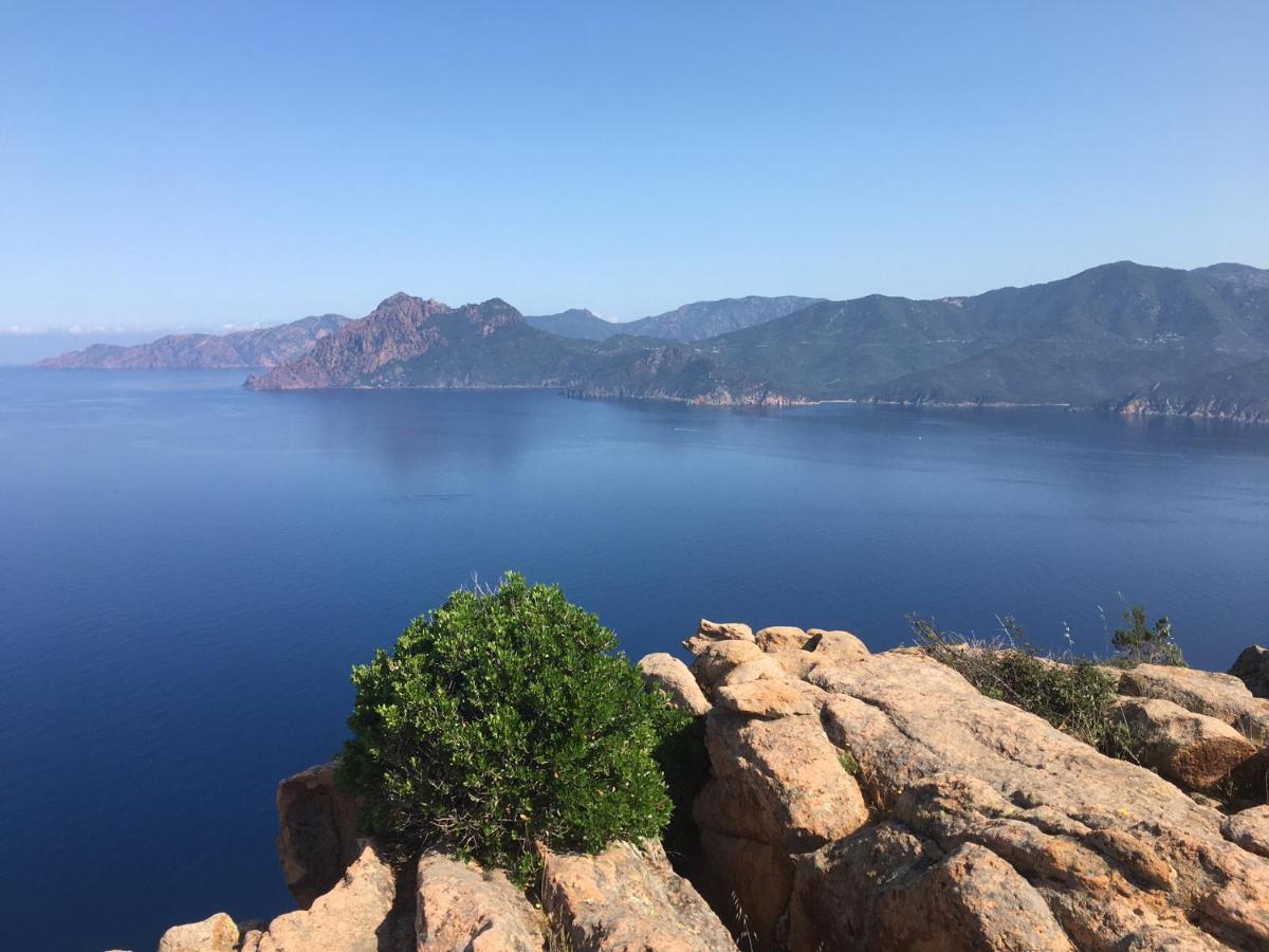 Eco Lodge Carbonaccio Chiatra 外观 照片