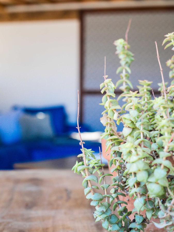 Eco Lodge Carbonaccio Chiatra 外观 照片